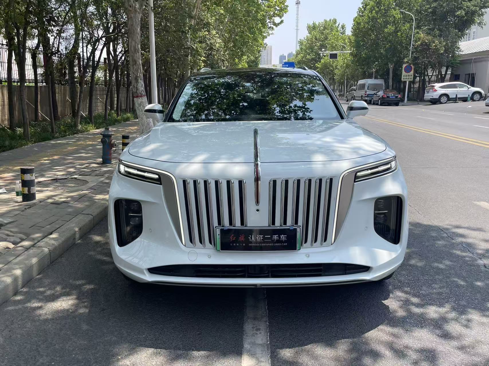 Hongqi E-HS9 2022 4WD660kmQichangEdition6-SeaterPure Electric thumbnail 2