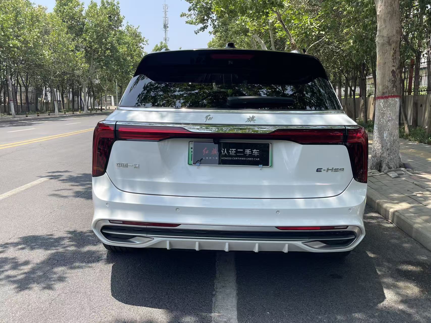 Hongqi E-HS9 2022 4WD660kmQichangEdition6-SeaterPure Electric thumbnail 11