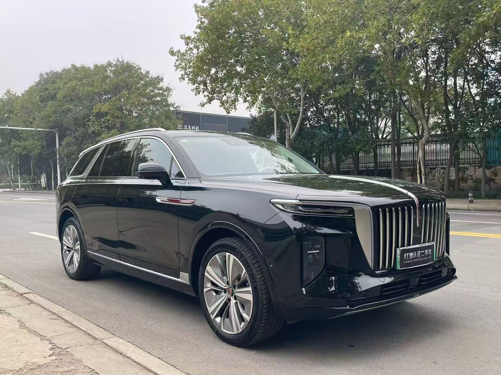 Hongqi E-HS9 2022 4WD690kmQiyueEdition6-SeaterPure Electric thumbnail 3