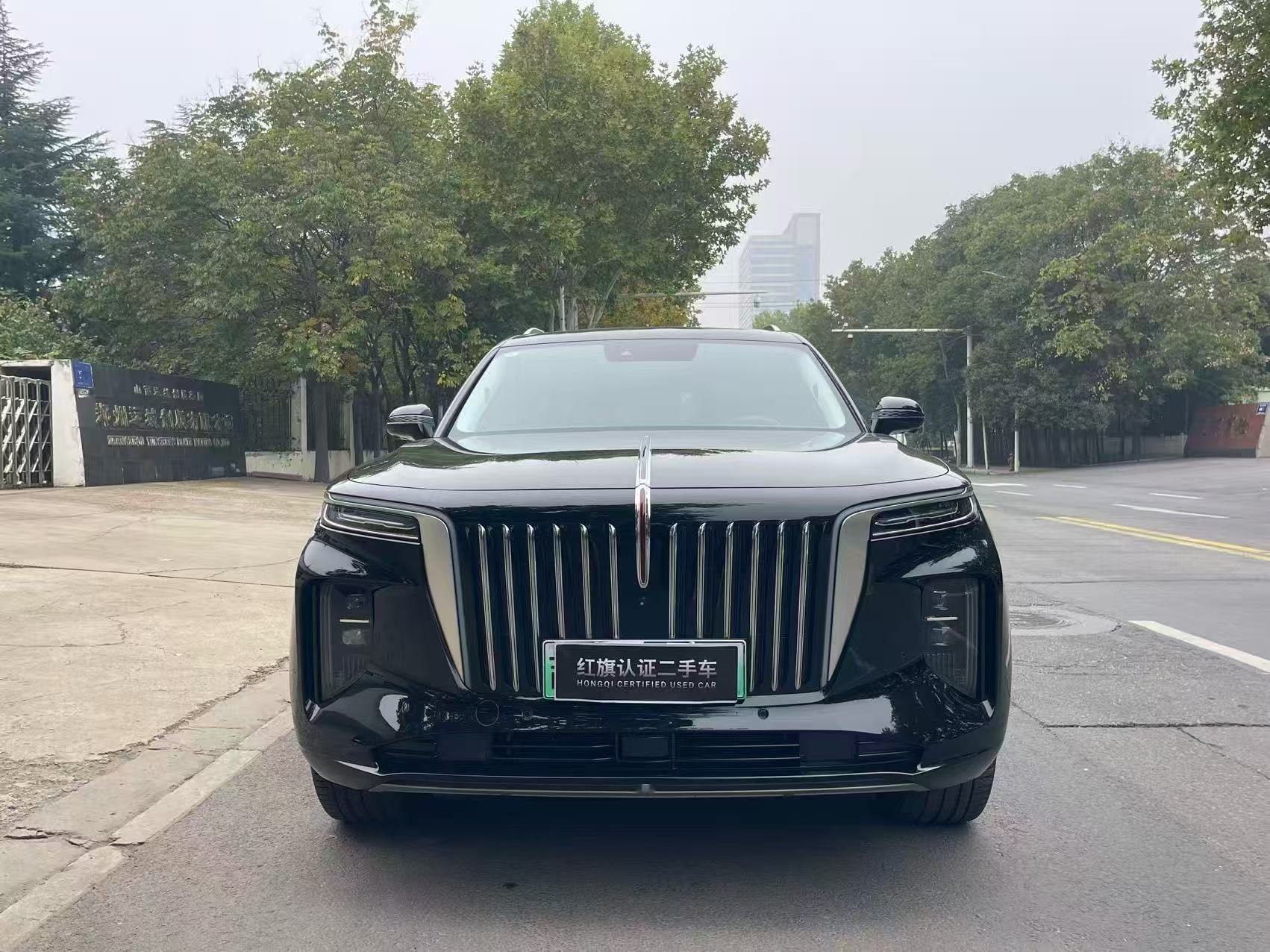 Hongqi E-HS9 2022 4WD690kmQiyueEdition6-SeaterPure Electric thumbnail 2