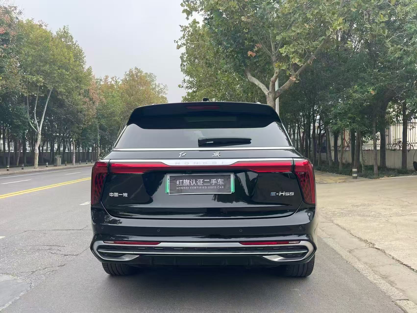 Hongqi E-HS9 2022 4WD690kmQiyueEdition6-SeaterPure Electric thumbnail 7