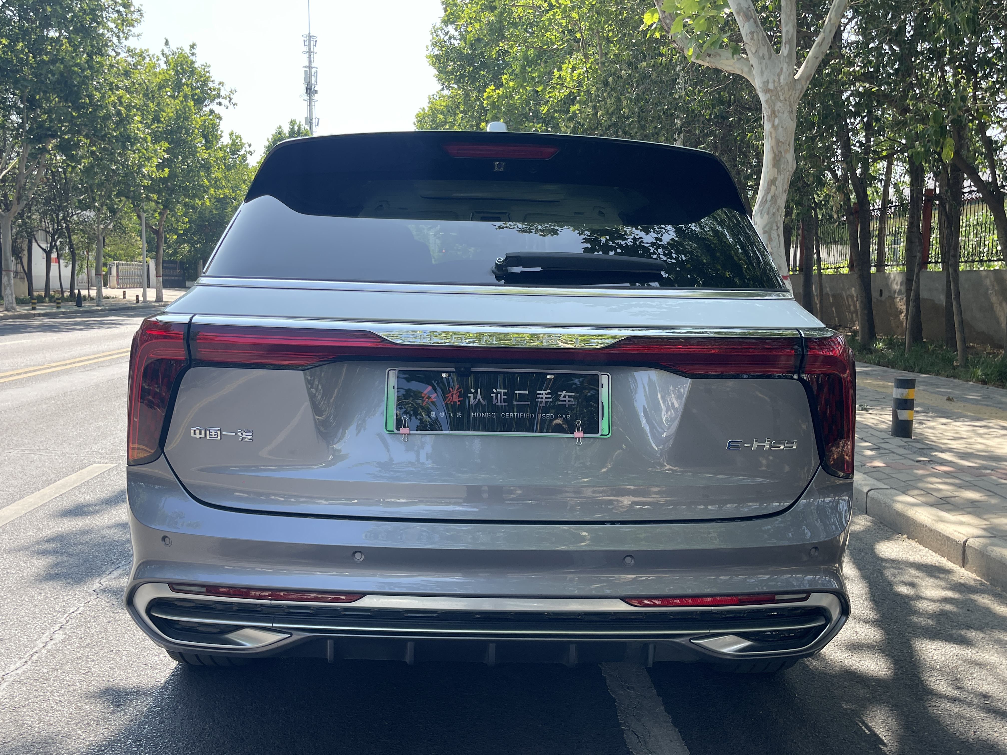 红旗 E-HS9 2022款 四驱660km旗领版4座纯电动 thumbnail 11
